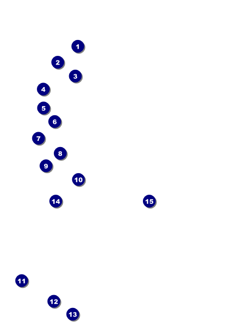 Dance Circle Economy Event Badge Front Field Markers