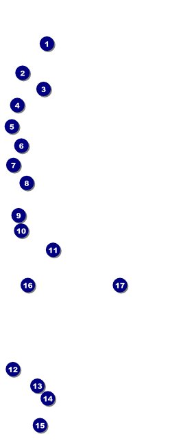 Dance Circle VIP Event Badge Large Front Field Markers