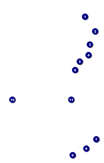 Dandelion VIP Event Badge Medium Front Field Markers