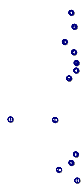 Dandelion VIP Event Badge Large Front Field Markers