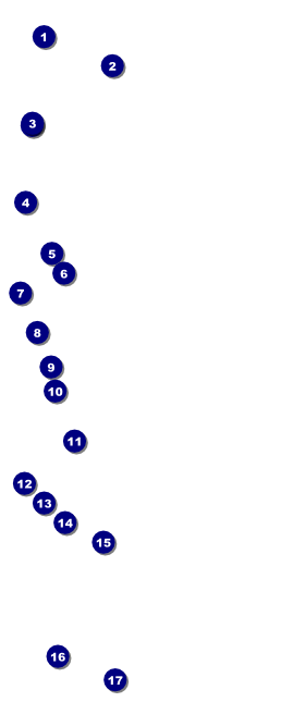 Road Trip VIP Pass Front Field Markers