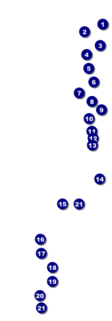 BBQ Retro Chalkboard Raffle Ticket Front Field Markers
