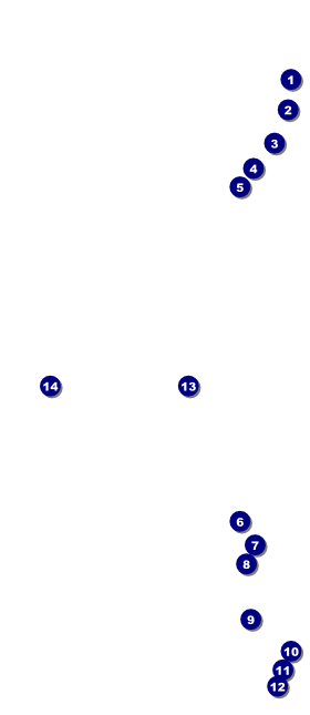 Denver VIP Event Badge Large Front Field Markers