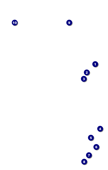 Denver VIP Event Badge Medium Front Field Markers