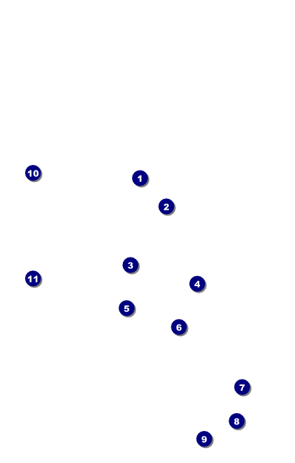 Detroit BW VIP Event Badge Medium Front Field Markers