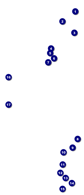 Dinosaur Illustrated VIP Event Badge Large Front Field Markers