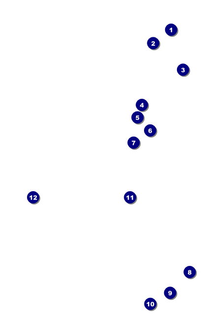 Dinosaur Illustrated VIP Event Badge Medium Front Field Markers