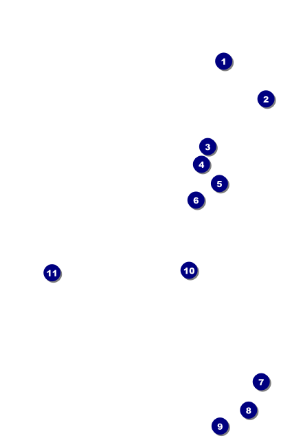 Dinosaur Illustrated VIP Event Badge Small Front Field Markers