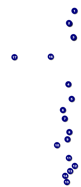 Disco Dance Festival VIP Event Badge Large Front Field Markers