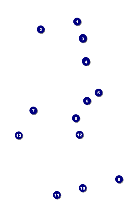Disco VIP Event Badge Medium Front Field Markers
