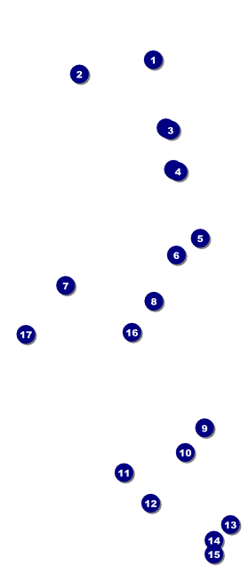 Disco VIP Event Badge Large Front Field Markers