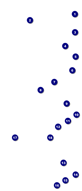 Earth Day Organic VIP Event Badge Large Front Field Markers