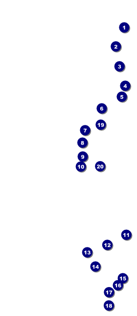Egyptian VIP Event Badge Large Front Field Markers