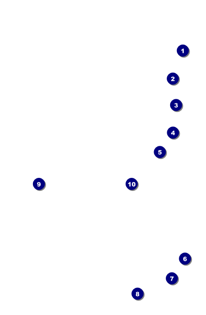 Egyptian VIP Event Badge Small Front Field Markers