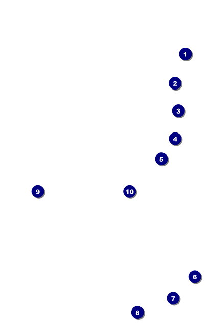 Egyptian VIP Event Badge Medium Front Field Markers