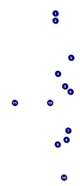 Farmer's Market VIP Event Badge Large Front Field Markers