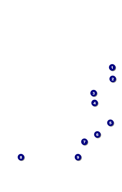 Fashion Show VIP Event Badge Medium Front Field Markers