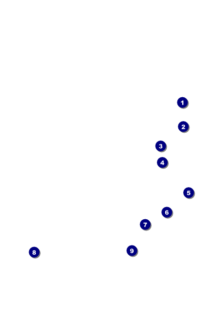 Fashion Show VIP Event Badge Small Front Field Markers