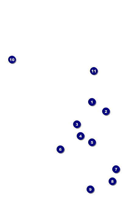 Food Festival VIP Event Badge Medium Front Field Markers