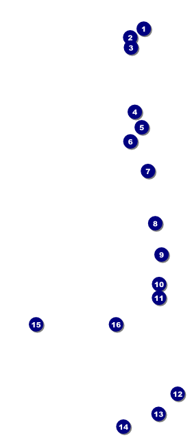 Fourth of July Freedom Blue VIP Event Badge Large Front Field Markers