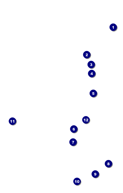 Fourth of July Freedom Blue VIP Event Badge Medium Front Field Markers