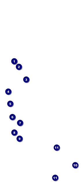 Abstract Lights Hang Tag Front Field Markers