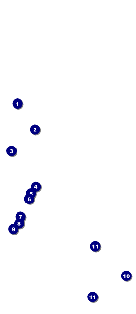 Abstract Hang Tag Front Field Markers