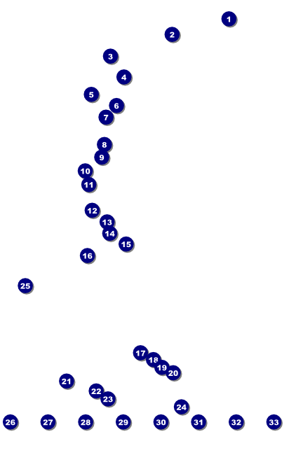 Martin Luther King Logo Poster Front Field Markers