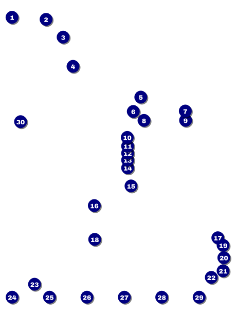 Class Reunion Mascot Blue Postcard Mailer Front Field Markers