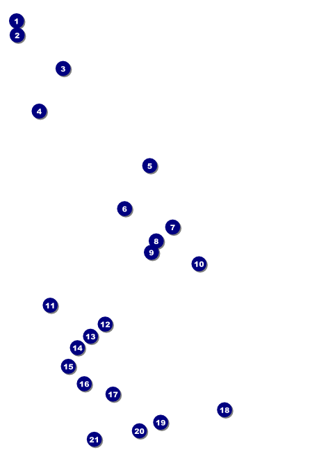 St. Patrick Day Shamrock Season Flyer Front Field Markers