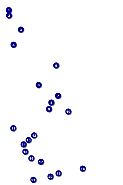 St. Patrick Day Shamrock Season Poster Front Field Markers
