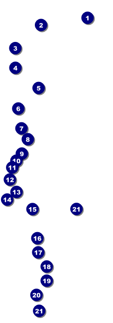 St. Patrick Day Shamrock Season Raffle Ticket Front Field Markers