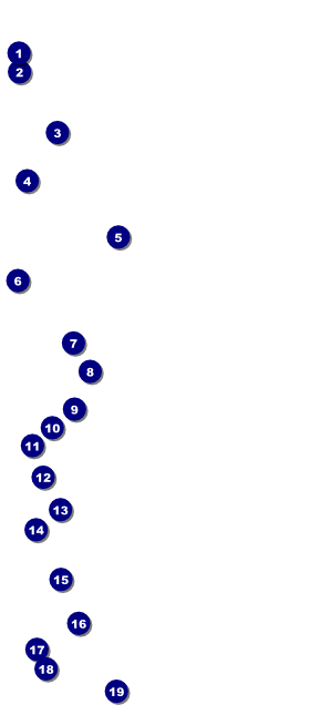 St. Patrick Day Shamrock Season VIP Pass Front Field Markers