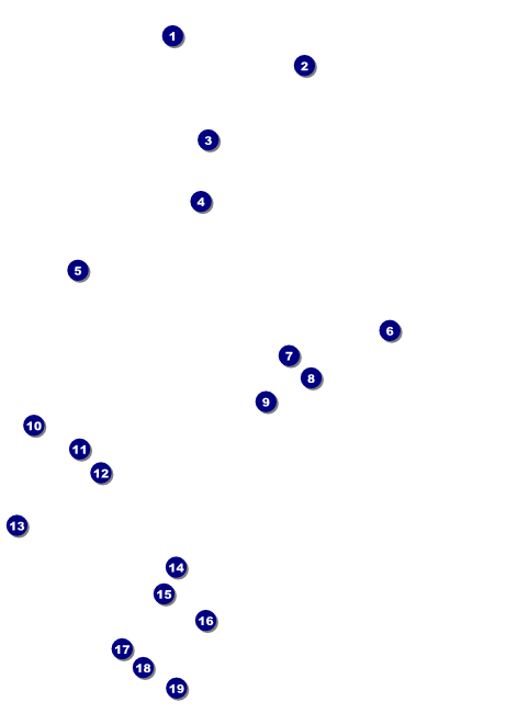 Halloween Witch Flyer Front Field Markers