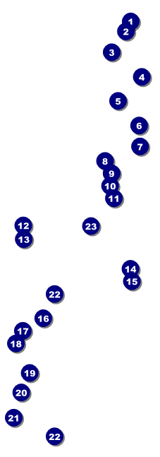 Beer Festival Event Ticket Front Field Markers