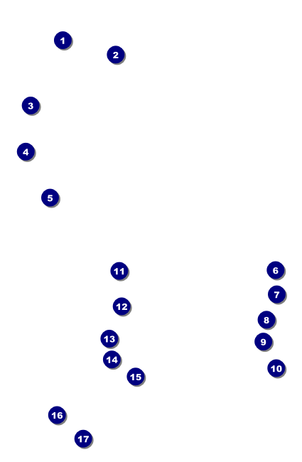 Pickleball Camp Drink Ticket Front Field Markers