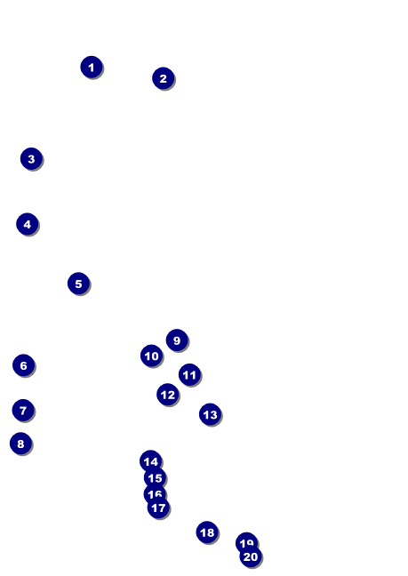 Pickleball Camp Postcard Front Field Markers