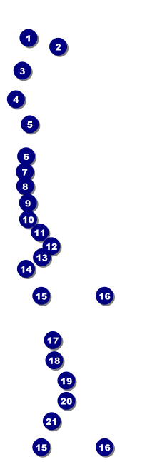 Pickleball Camp Raffle Ticket Front Field Markers
