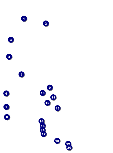 Pickleball Camp Invitation Front Field Markers