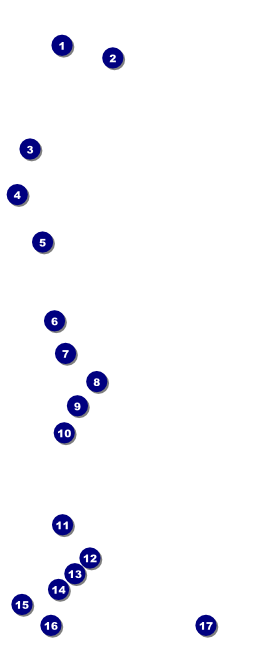Pickleball Camp VIP Pass Front Field Markers