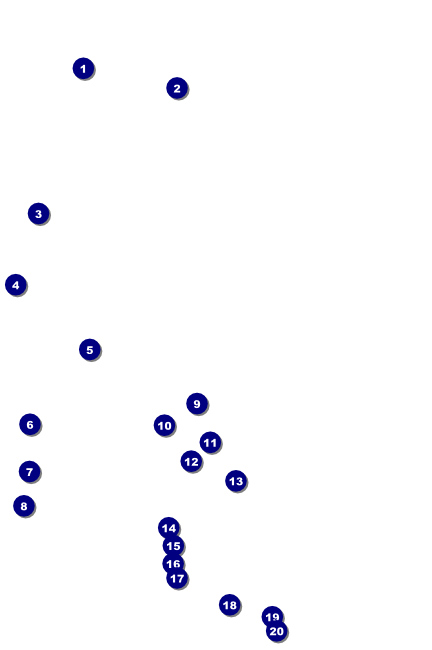 Pickleball Camp Poster Front Field Markers