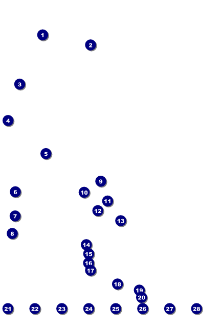 Pickleball Camp Image Poster Front Field Markers