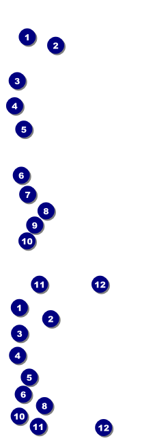 Pickleball Camp Event Ticket Front Field Markers