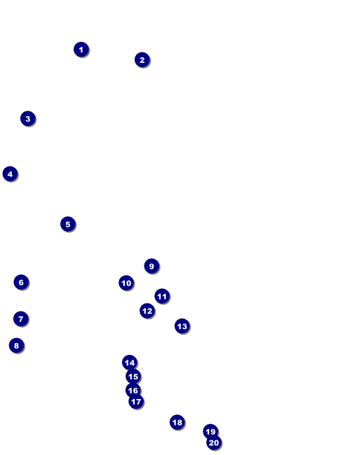 Pickleball Camp Flyer Front Field Markers