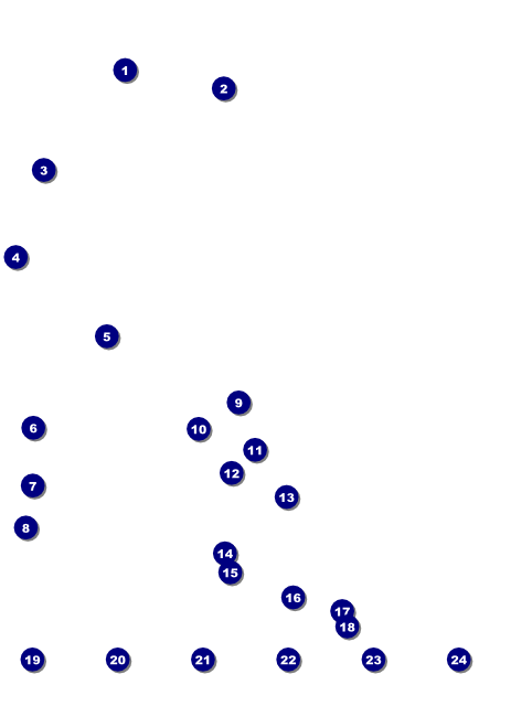 Pickleball Camp Image Flyer Front Field Markers