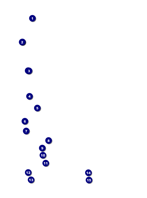 Cannabis Festival Flyer Front Field Markers