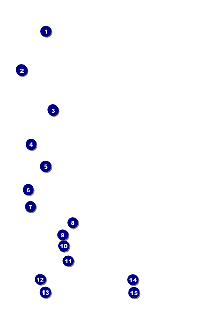 Cannabis Festival Poster Front Field Markers