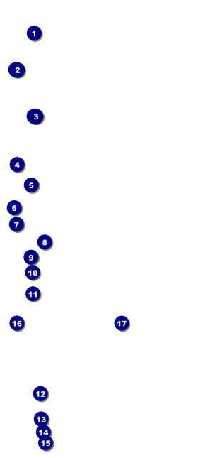 Cannabis Festival VIP Pass Front Field Markers