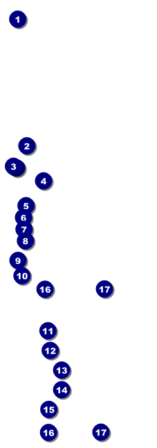 Sneaker Ball Raffle Ticket Front Field Markers