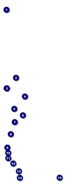 Sneaker Ball VIP Pass Front Field Markers